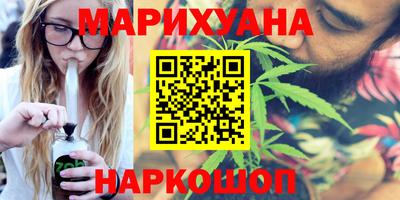 сатива Краснознаменск
