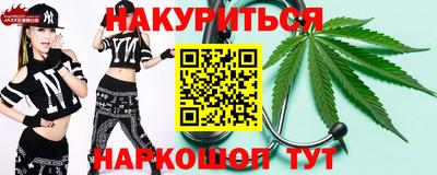 сатива Краснознаменск