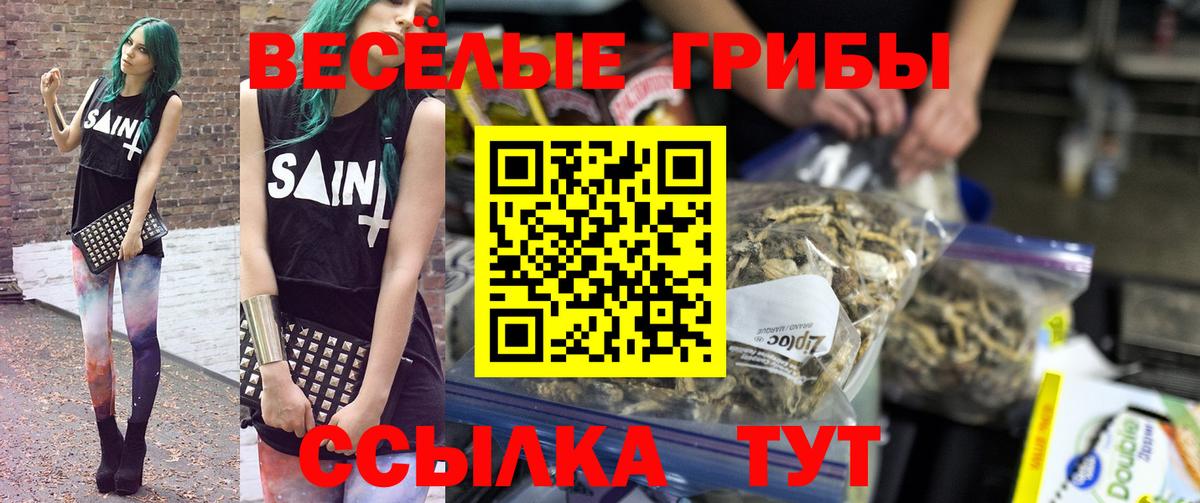 Галлюциногенные грибы мухоморы Кашира